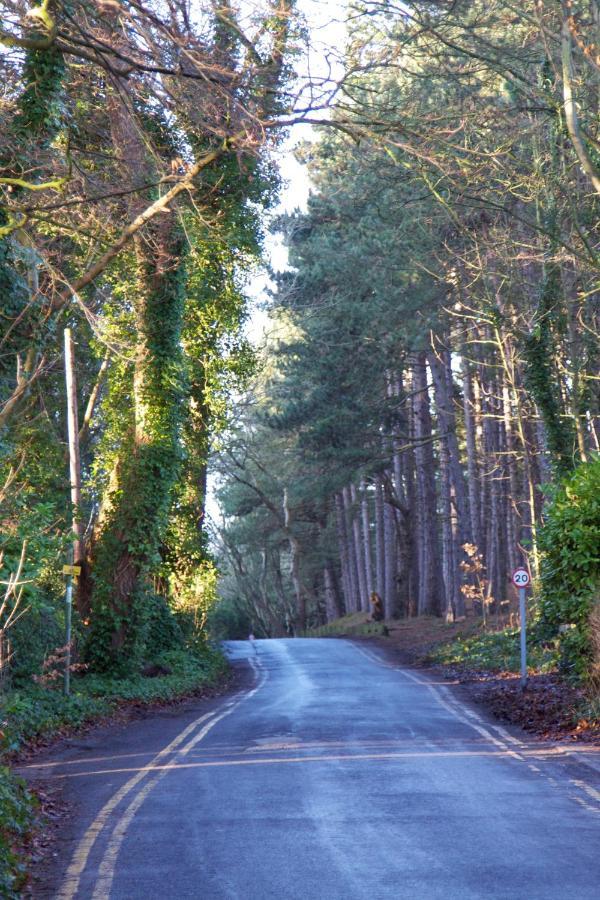Bed and Breakfast Formby Pinewood Studio Exterior foto